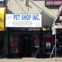 J & J Pet Shop ico