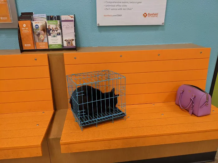 Banfield Pet Hospital Picture 8