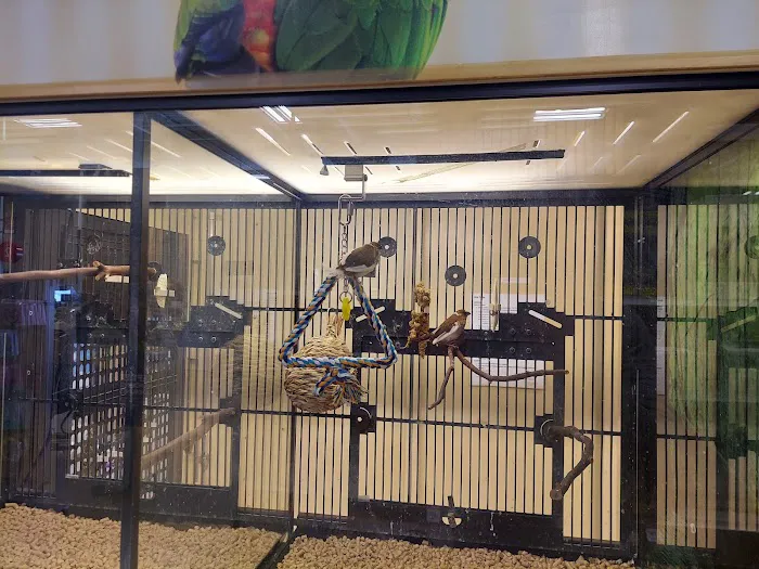 Banfield Pet Hospital Picture 5