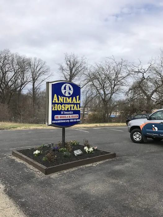 Animal Hospital of Somerdale Picture 3