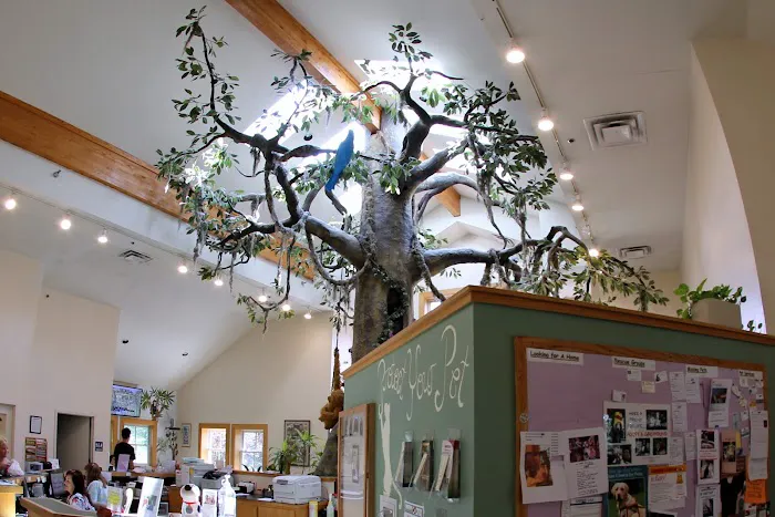 Mount Laurel Animal Hospital Picture 6