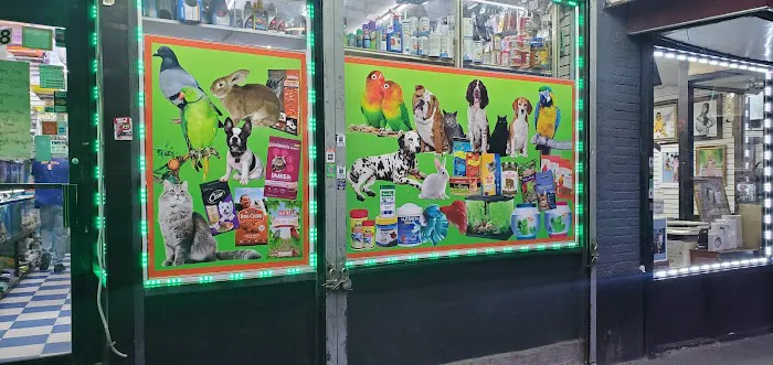 Pet City Picture 5