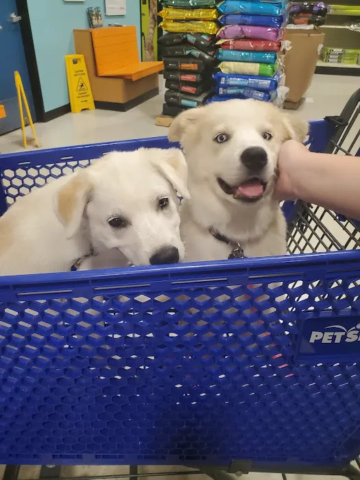 Banfield Pet Hospital Picture 7