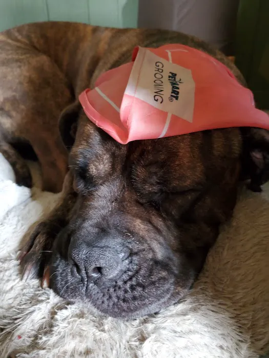 Banfield Pet Hospital Picture 6