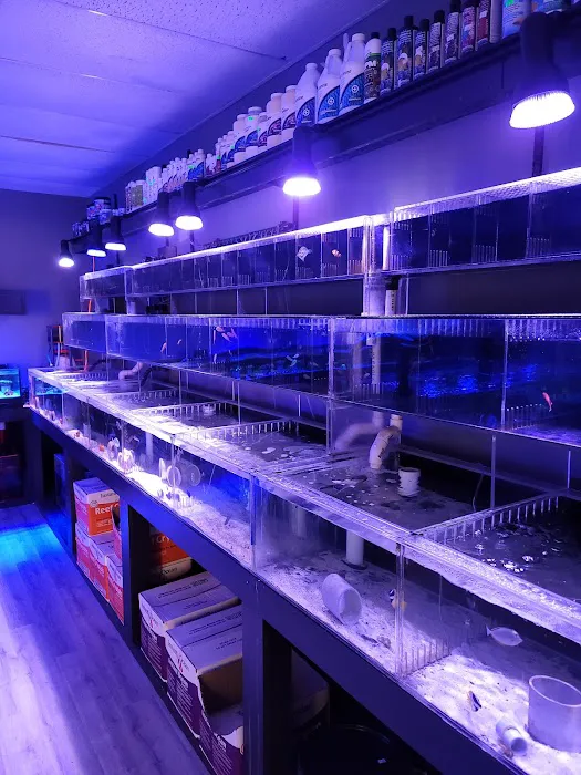 The Reef Shoppe Picture 1
