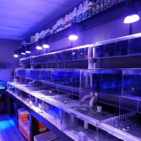 The Reef Shoppe ico