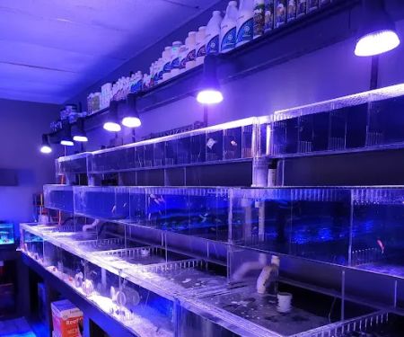 The Reef Shoppe