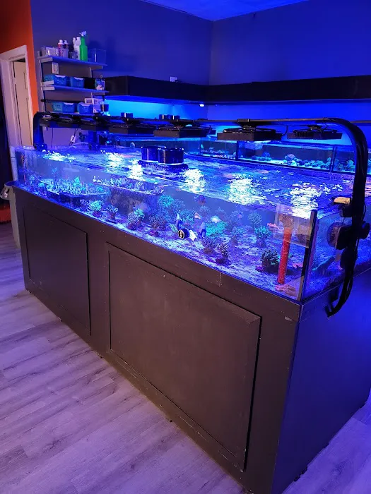The Reef Shoppe Picture 4