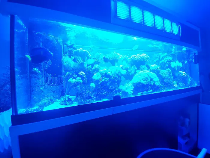 The Reef Shoppe Picture 3