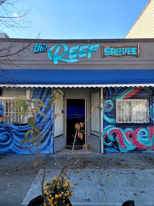 The Reef Shoppe Picture 6
