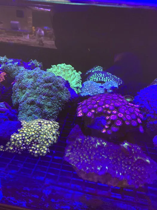 The Reef Shoppe Picture 8