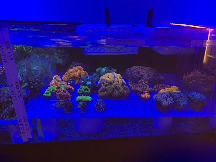 The Reef Shoppe Picture 5