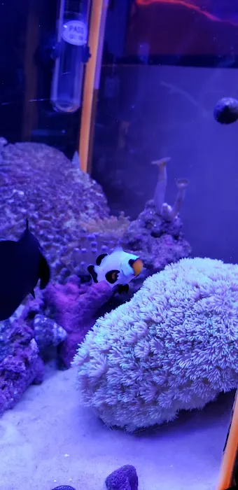 The Reef Shoppe Picture 10