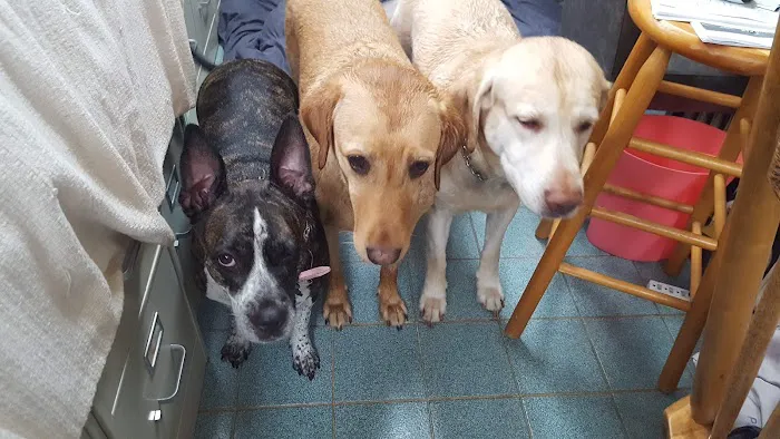 Pennell Veterinary Clinic Picture 4