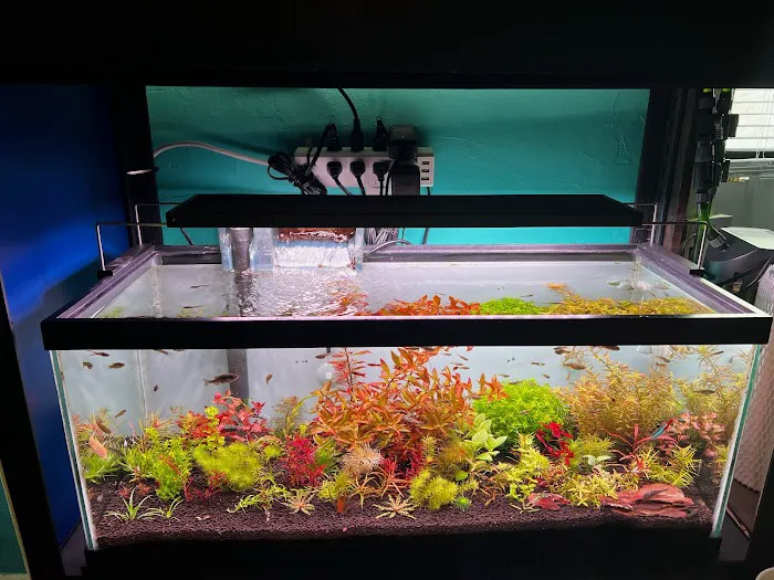 Happy Aquarium Plants Picture 9