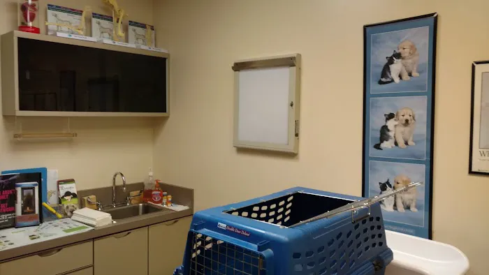 Aston Veterinary Clinic Picture 3