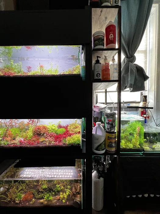 Happy Aquarium Plants Picture 9