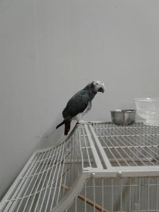 Gabby Pets Picture 6