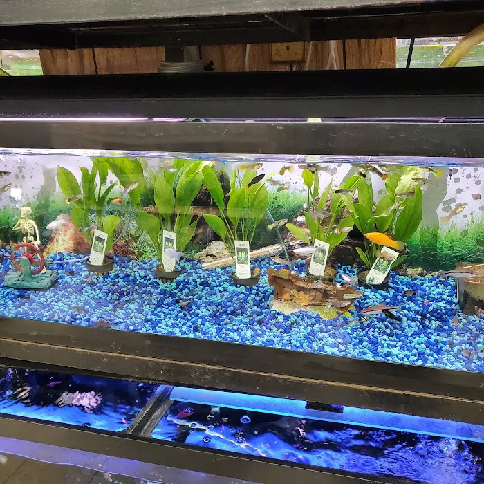 Whole Pets Market Picture 9