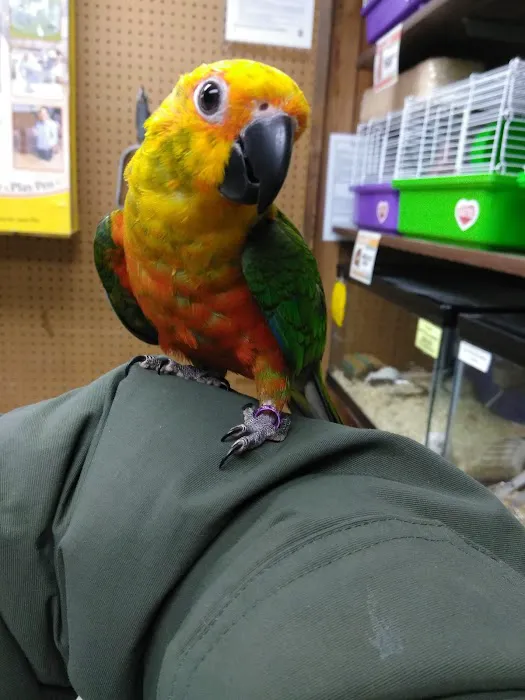 Whole Pets Market Picture 6