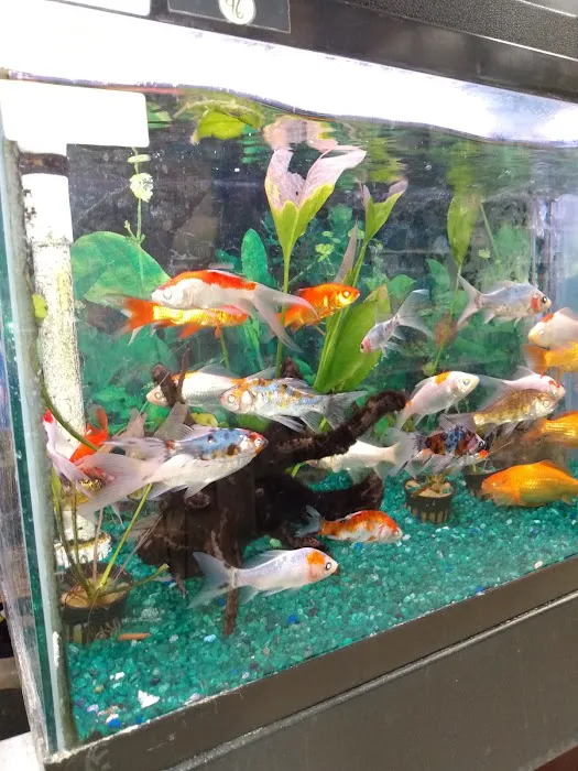 Whole Pets Market Picture 5