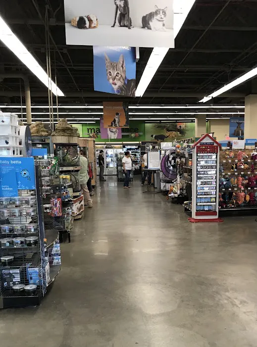 Petco Picture 3