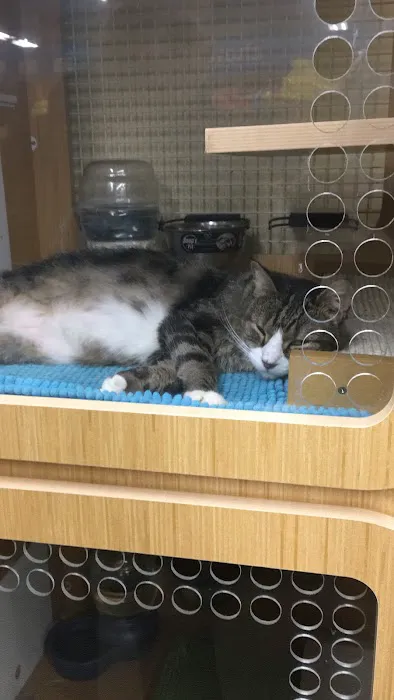 Petco Picture 2