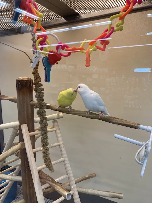 Petco Picture 5