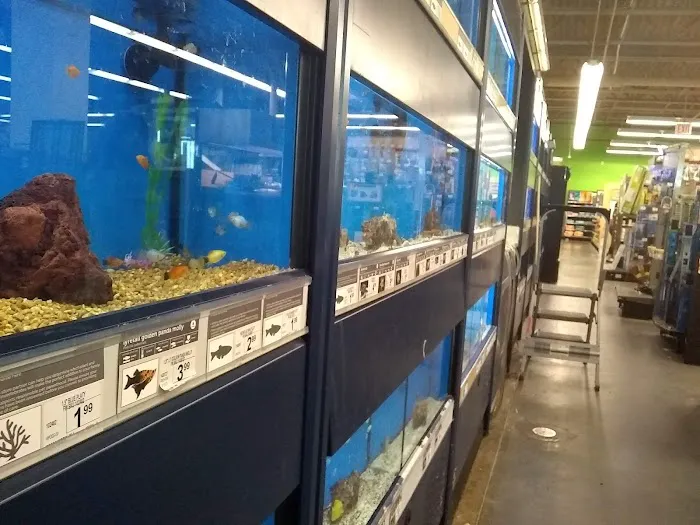 Petco Picture 6