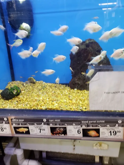 Petco Picture 9
