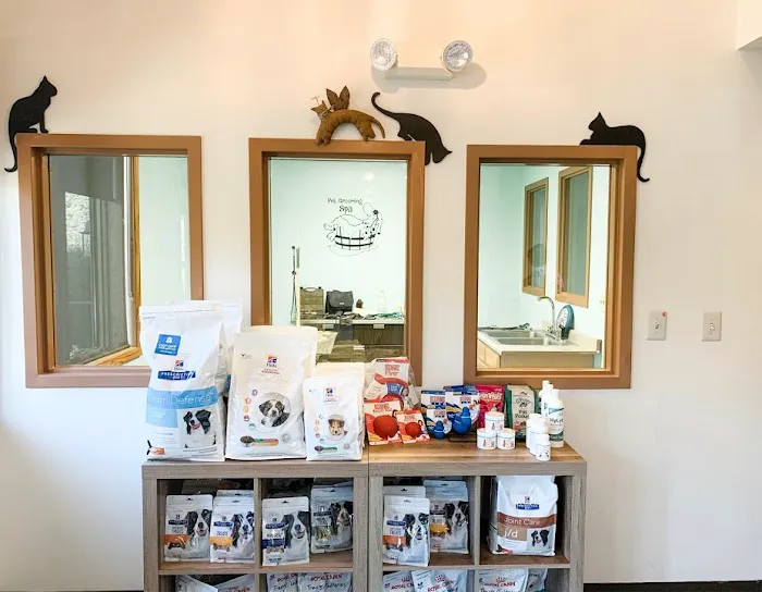 Town & Country Veterinary Hospital in Media/Aston Picture 9