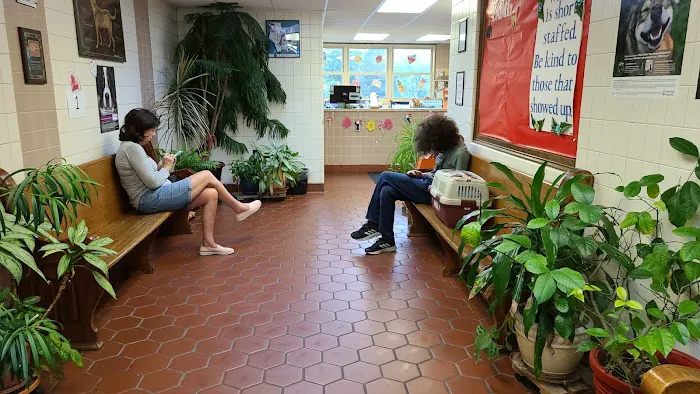 Conchester Animal Hospital Picture 4