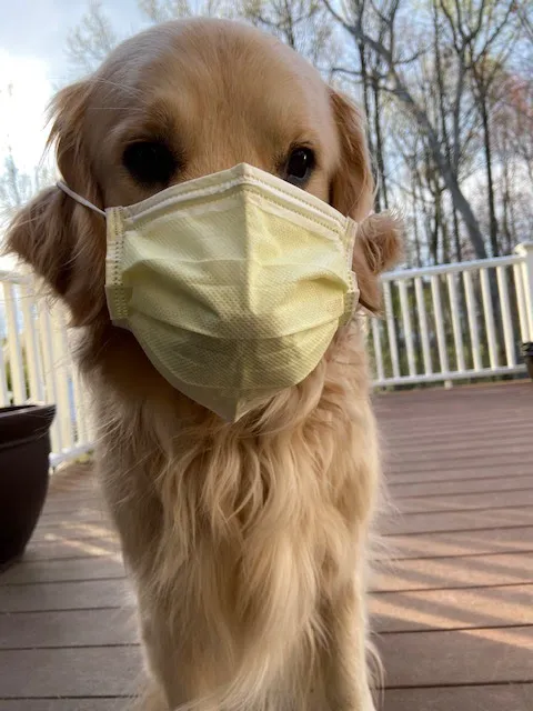 Conchester Animal Hospital Picture 3