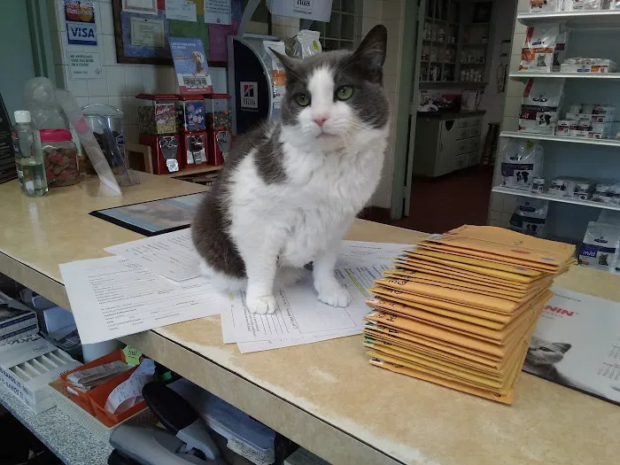 Conchester Animal Hospital Picture 10