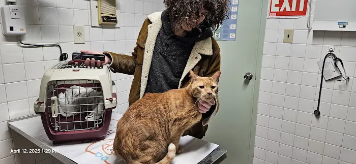 Conchester Animal Hospital Picture 6