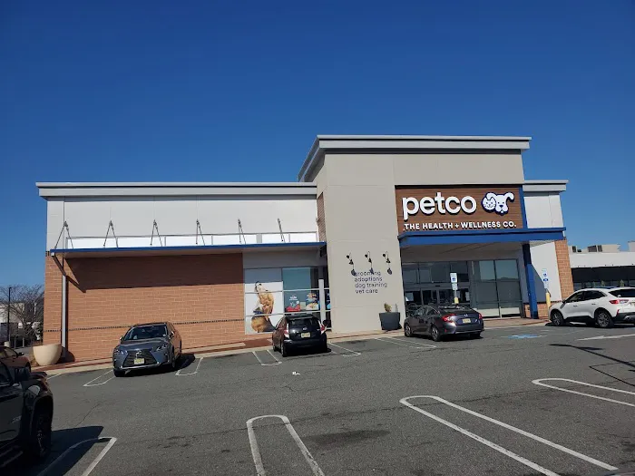 Petco Picture 8