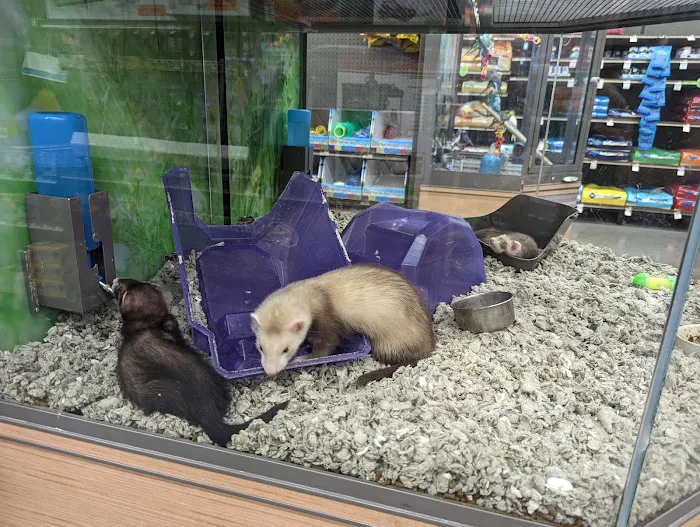 Petco Picture 7