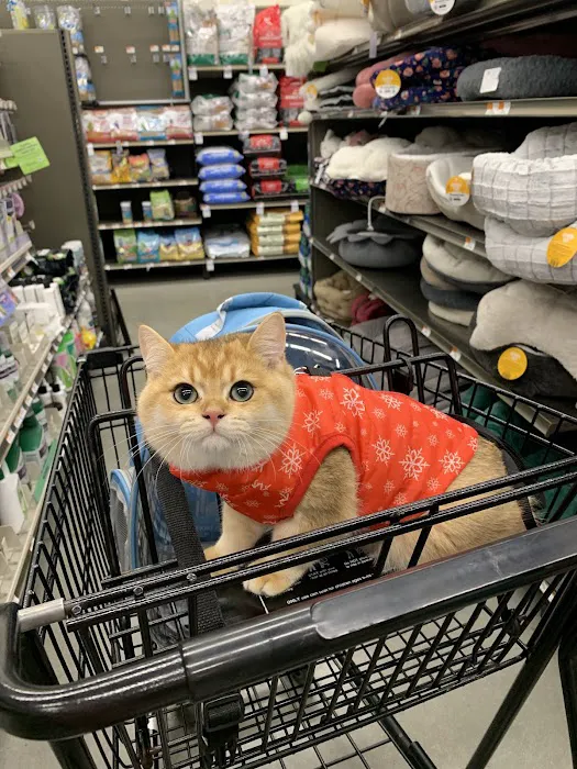 Petco Picture 2