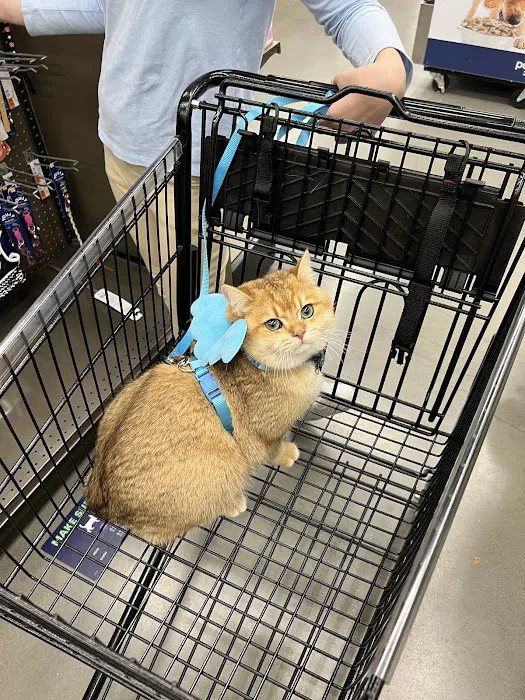 Petco Picture 6