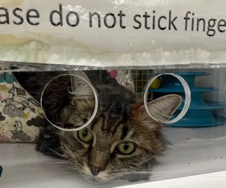 Petco