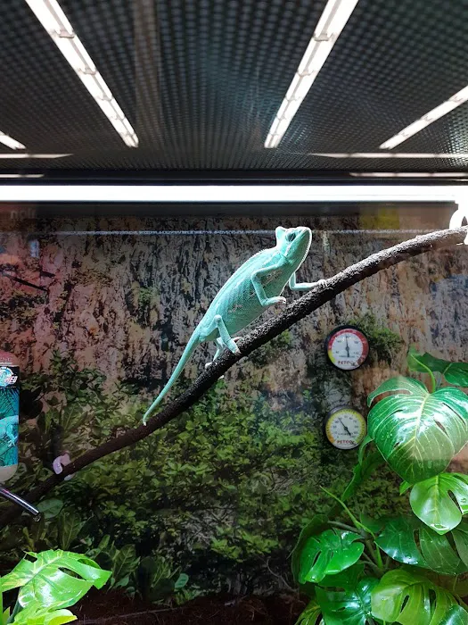 Petco Picture 10