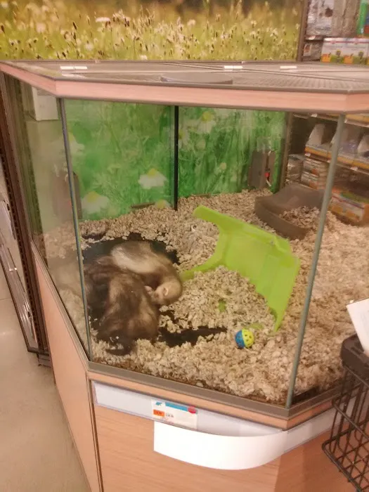 Petco Picture 4