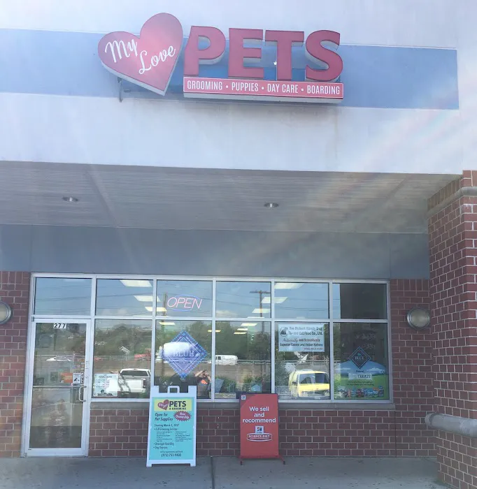 My love Pets and Grooming Picture 2