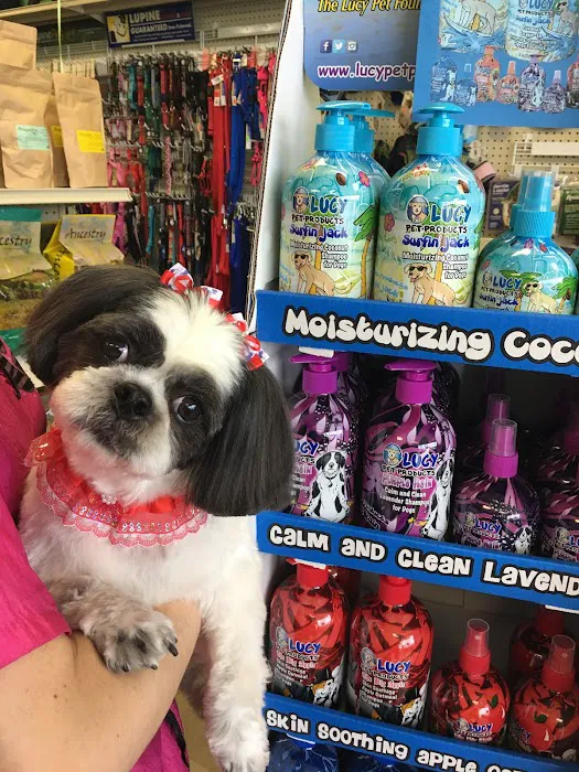 My love Pets and Grooming Picture 1