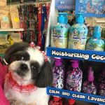 My love Pets and Grooming