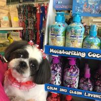 My love Pets and Grooming ico