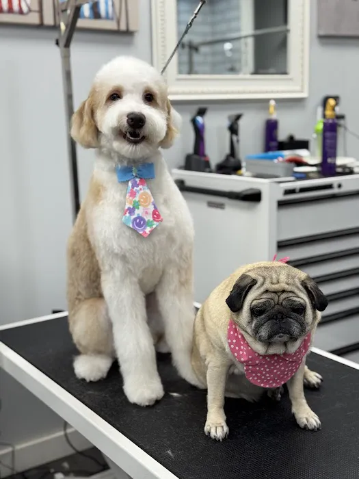 My love Pets and Grooming Picture 6