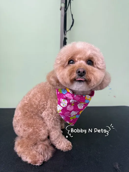 Bobby N’ Pets Picture 1
