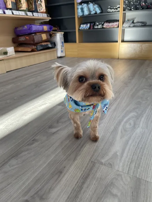 Bobby N’ Pets Picture 10