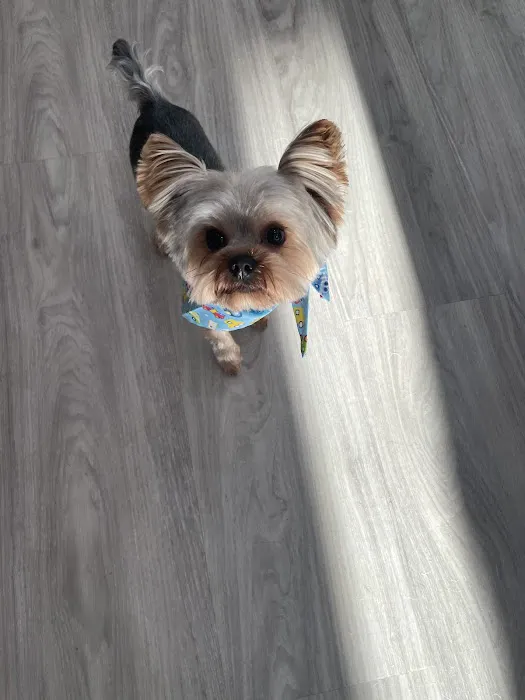 Bobby N’ Pets Picture 9